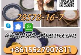 Top 1 Seller CAS 28578-16-7 P Ethyl Glycidate