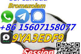 CAS 71368-80-4  Bromazolam powder high quality
