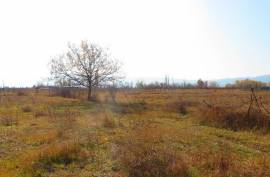For Sale, Real Estate, Lands