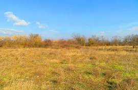 For Sale, Real Estate, Lands
