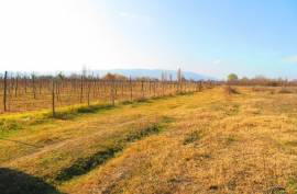 For Sale, Real Estate, Lands