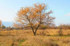 For Sale, Real Estate, Lands